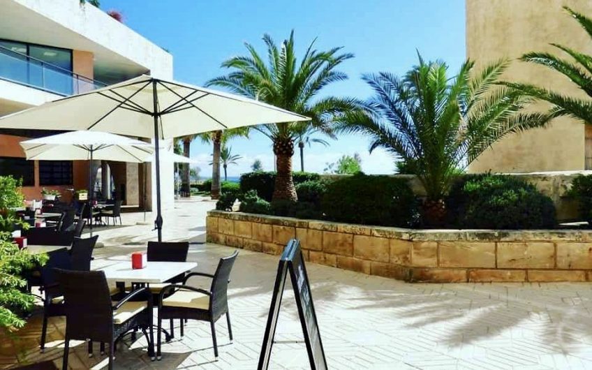 Bar And Restaurant In Palma For Sale