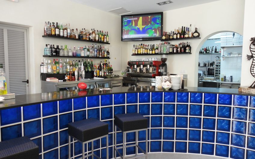 Freehold Restaurant Bar with Pool and Shop For Sale